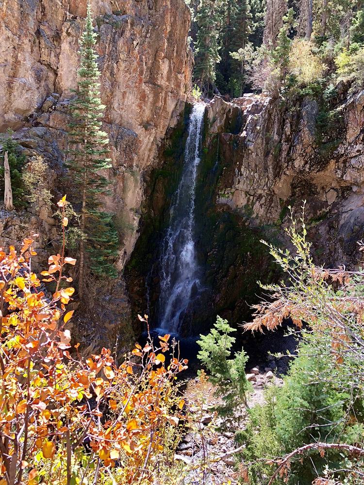 Bullion Falls, a waterfall in a green pine forest